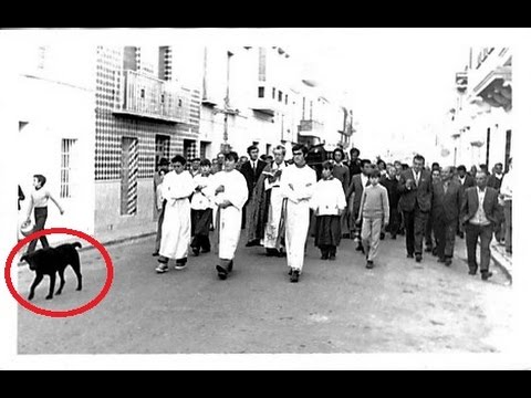 La Leyenda de "Moro" La Leyenda de "Moro"