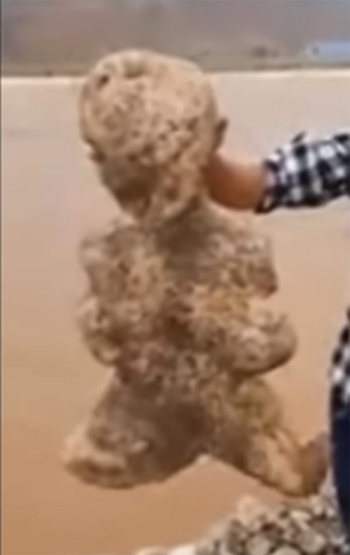 Criatura Humanoide Aparece en una Playa de China Criatura Humanoide Aparece en una Playa de China