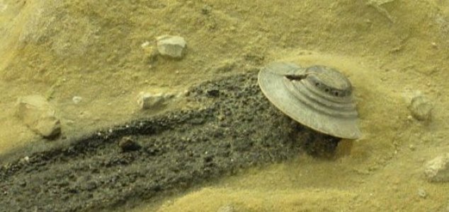 El sitio del accidente de OVNI de Roswell El sitio del accidente de OVNI de Roswell