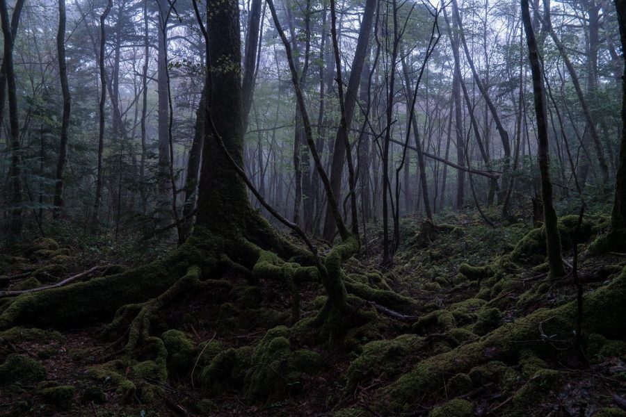 Lugares paranormales a los que viajar